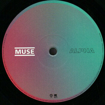 Vinyl Record Muse - Simulation Theory (LP) - 6