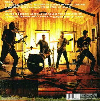 Vinyl Record Nickelback - Here And Now (LP) - 2
