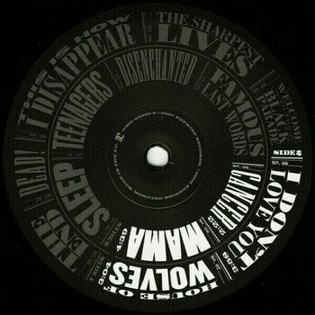 Vinyl Record My Chemical Romance - The Black Parade (LP) - 3