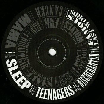 Vinyl Record My Chemical Romance - The Black Parade (LP) - 4