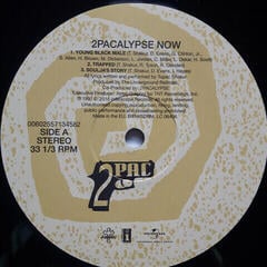 Vinyl Record 2Pac - 2Pacalypse Now (2 LP) - 1