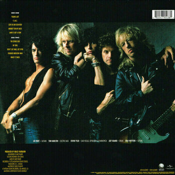 Disque vinyle Aerosmith - Pump (LP) - 3