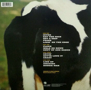 LP ploča Aerosmith - Get A Grip (2 LP) - 3