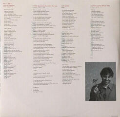 Vinyl Record Andrea Bocelli - Romanza Remastered (2 LP) - 3