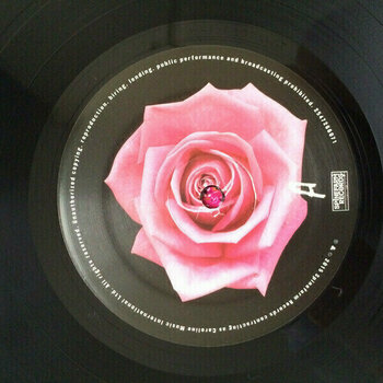 Vinyl Record Anti-Flag - American Spring (LP) - 6
