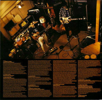 Грамофонна плоча Beastie Boys - Check Your Head (Remastered) (2 LP) - 5