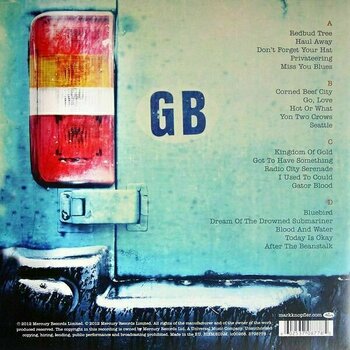 Vinylskiva Mark Knopfler - Privateering (2 LP) - 2