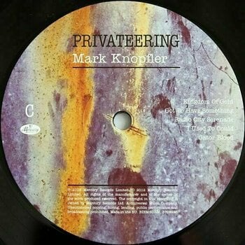 Vinyl Record Mark Knopfler - Privateering (2 LP) - 5