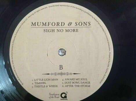 Schallplatte Mumford & Sons - Sigh No More (LP) - 4