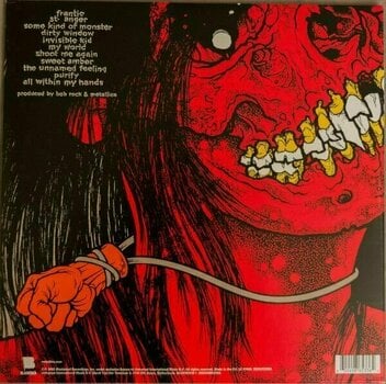 Vinylskiva Metallica - St.Anger (2 LP) - 9