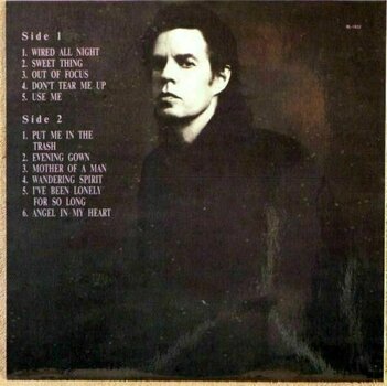 Disque vinyle Mick Jagger - Wandering Spirit (2 LP) - 2
