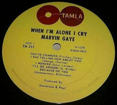 LP Marvin Gaye - When I'm Alone I Cry (LP) - 3