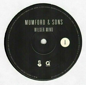 Vinylskiva Mumford & Sons - Wilder Mind (LP) - 2