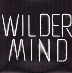 Disc de vinil Mumford & Sons - Wilder Mind (LP) - 4