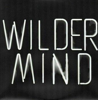 Vinylskiva Mumford & Sons - Wilder Mind (LP) - 5