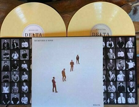 Vinylskiva Mumford & Sons - Delta (2 LP) - 2