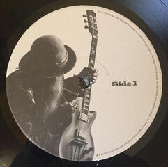 Δίσκος LP Billy Gibbons - The Big Bad Blues (LP) - 4