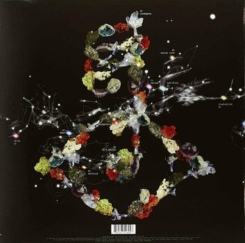 Vinylskiva Björk - Biophilia (2 LP) - 2