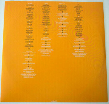Disc de vinil Björk - Volta (2 LP) - 6