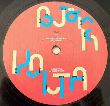 Disco de vinilo Björk - Volta (2 LP) - 9