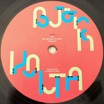 Vinyl Record Björk - Volta (2 LP) - 11