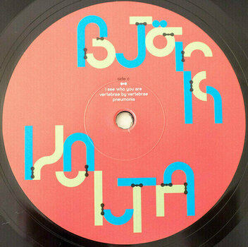 Vinyylilevy Björk - Volta (2 LP) - 12