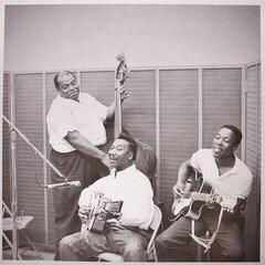 Disc de vinil Muddy Waters - Folk Singer (LP) - 5