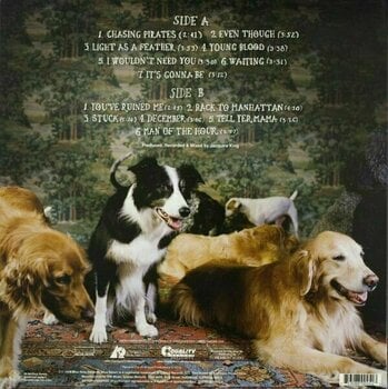 Disc de vinil Norah Jones - The Fall (LP) - 4