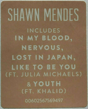 Vinyl Record Shawn Mendes - Shawn Mendes (LP) - 3