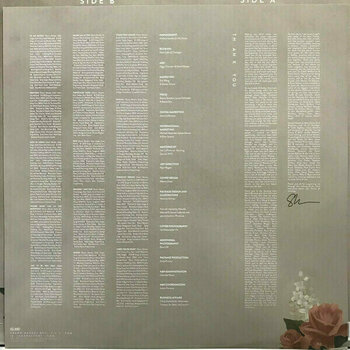 Vinylplade Shawn Mendes - Shawn Mendes (LP) - 4
