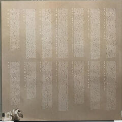 LP ploča Shawn Mendes - Shawn Mendes (LP) - 4