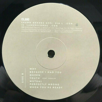 Disco de vinilo Shawn Mendes - Shawn Mendes (LP) - 7
