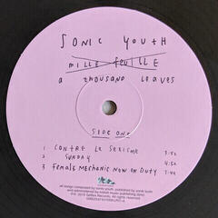 LP ploča Sonic Youth - A Thousand Leaves (2 LP) - 2