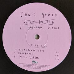 LP ploča Sonic Youth - A Thousand Leaves (2 LP) - 3