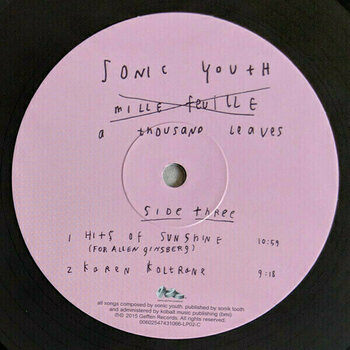 Płyta winylowa Sonic Youth - A Thousand Leaves (2 LP) - 5