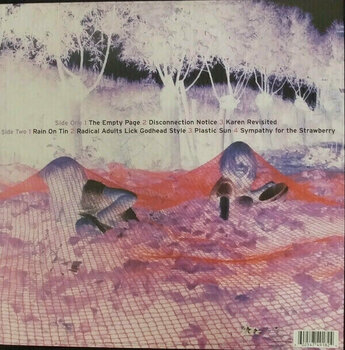 Vinyl Record Sonic Youth - Murray Street (LP) - 2