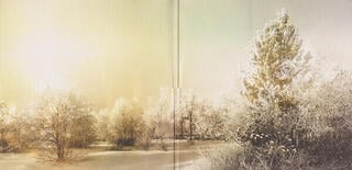 Disco de vinilo Soundgarden - King Animal (2 LP) - 1