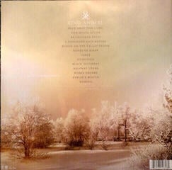 Disco de vinilo Soundgarden - King Animal (2 LP) - 2