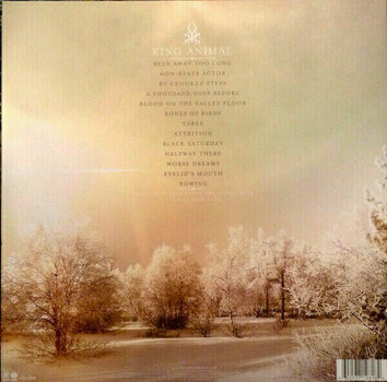 Płyta winylowa Soundgarden - King Animal (2 LP) - 3