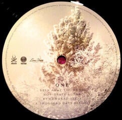 Disco de vinilo Soundgarden - King Animal (2 LP) - 3