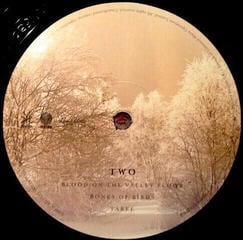 Disco de vinilo Soundgarden - King Animal (2 LP) - 4