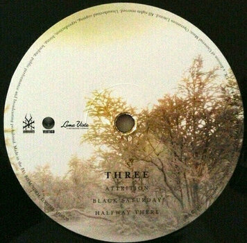 Vinylskiva Soundgarden - King Animal (2 LP) - 6