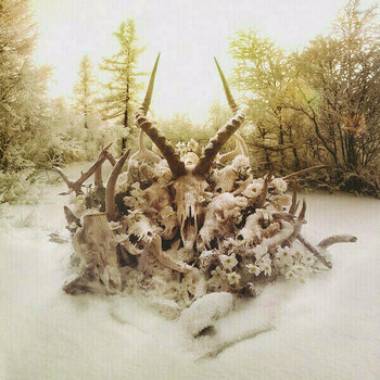 Vinylskiva Soundgarden - King Animal (2 LP) - 8