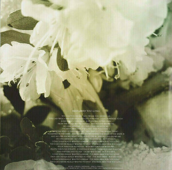 Disque vinyle Soundgarden - King Animal (2 LP) - 9