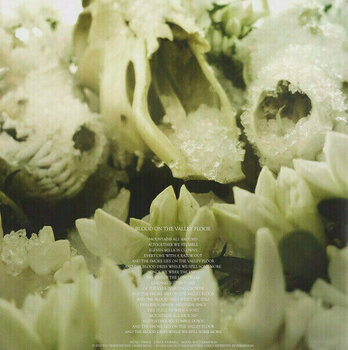 Vinyylilevy Soundgarden - King Animal (2 LP) - 15