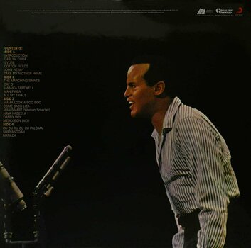 Vinylskiva Harry Belafonte - Belafonte At Carnegie Hall (2 LP) - 2