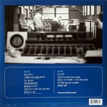 Schallplatte The Beach Boys - Beach Boys' Party! Uncovered And Unplugged! (Vinyl LP) - 3