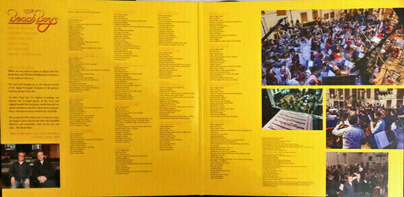 Vinyl Record The Beach Boys - The Beach Boys With The Royal Philharmonic Orchestra (2 LP) - 3