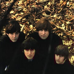 LP platňa The Beatles - Beatles For Sale (LP) - 2