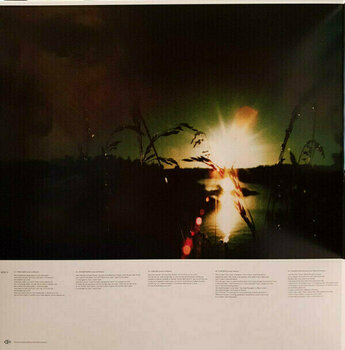 Disque vinyle The Cardigans - Gran Turismo (LP) - 3